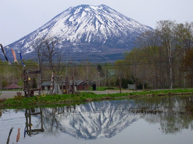 f0157901_1754846.jpg