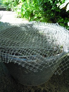 e0206902_1884346.jpg