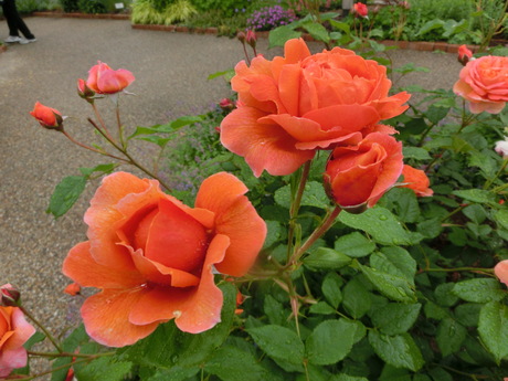 a0203003_2210742.jpg