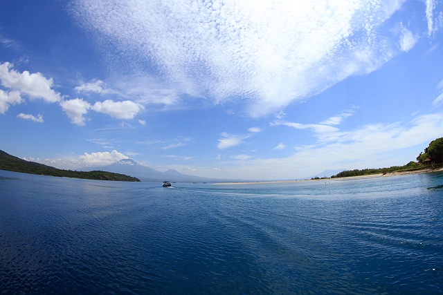 b0110406_1312014.jpg