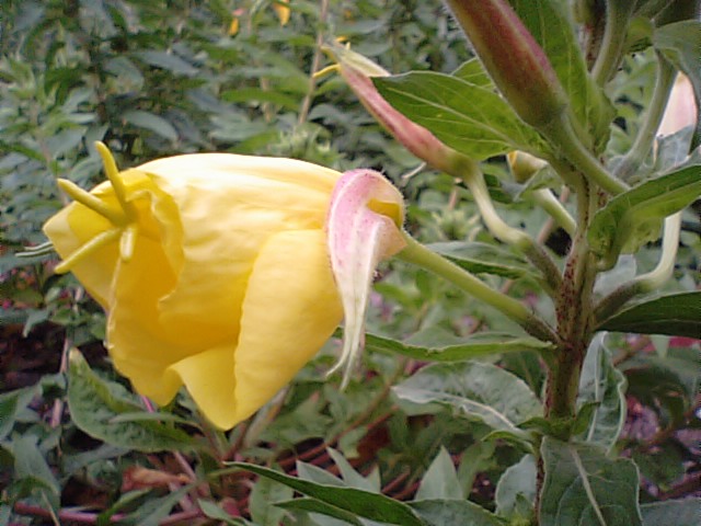 f0231709_8115327.jpg