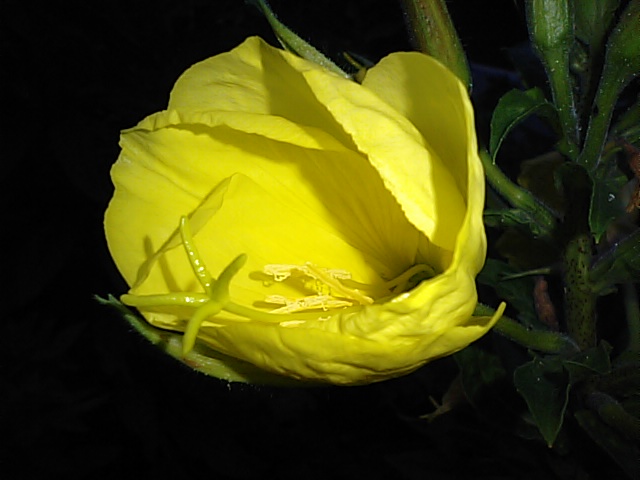 f0231709_817755.jpg