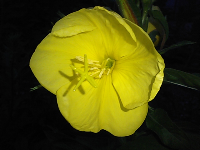 f0231709_81887.jpg