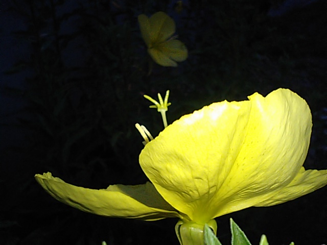 f0231709_8193220.jpg