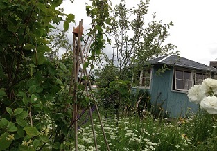 e0233111_6523021.jpg