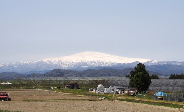 c0248013_102551.jpg