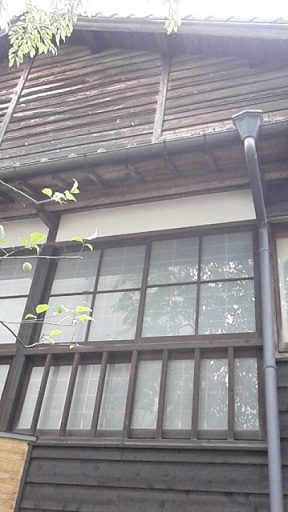 f0031420_8242024.jpg