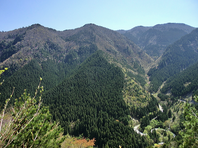 f0248120_2364670.jpg