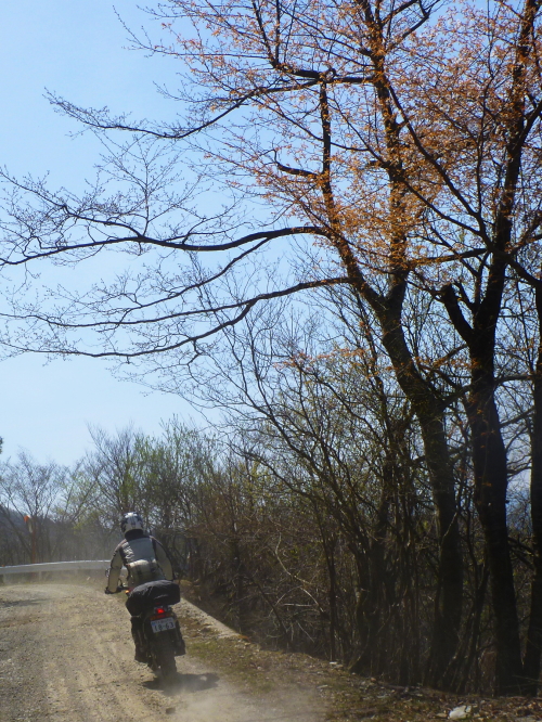 f0248120_2374081.jpg