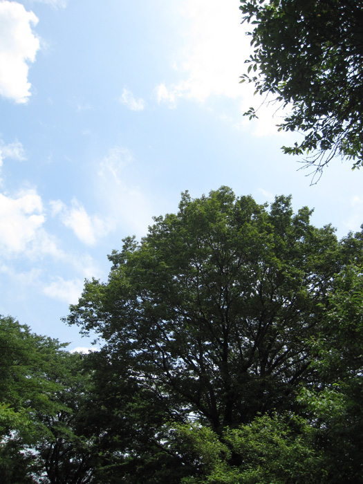 e0244621_2262121.jpg