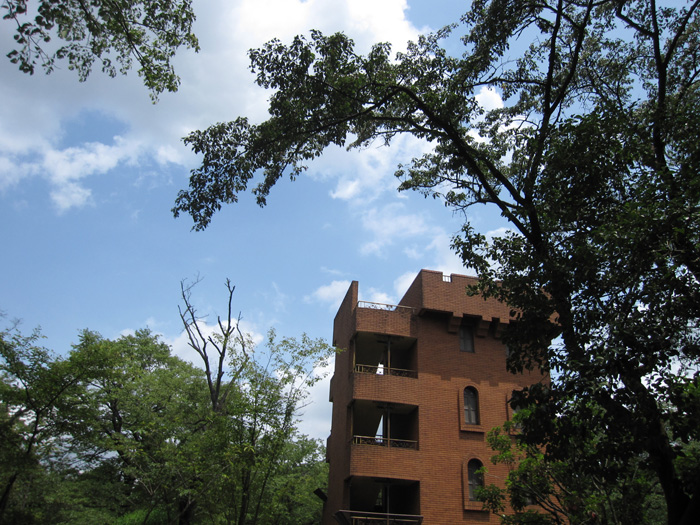 e0244621_226829.jpg