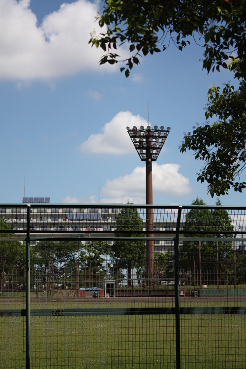 a0214329_9353737.jpg