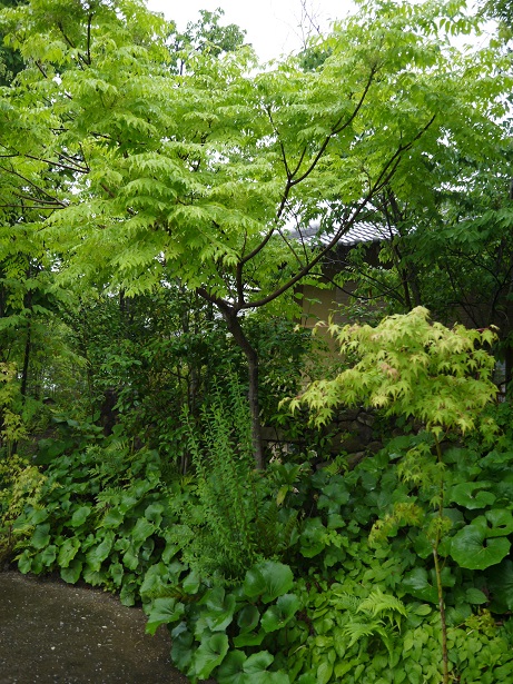 f0231829_2228866.jpg