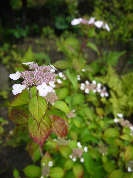f0231829_22305687.jpg