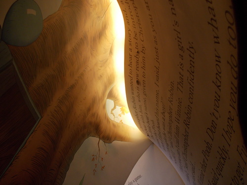 e0166032_21124065.jpg