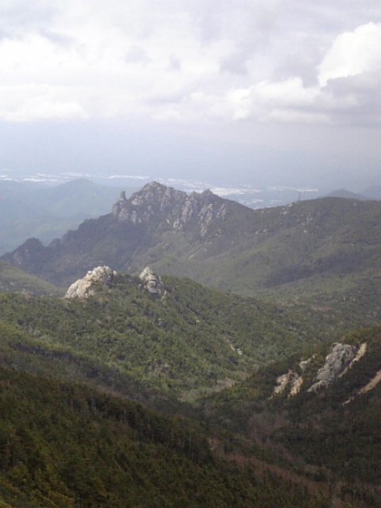 f0060535_10561455.jpg