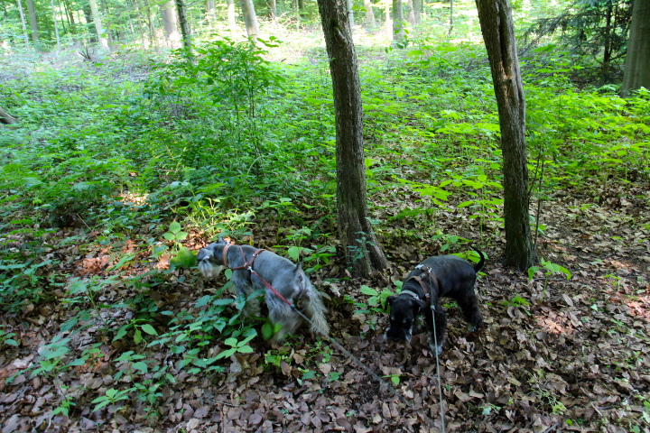 c0153740_2373251.jpg