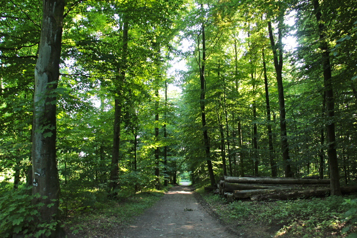 c0153740_2375590.jpg