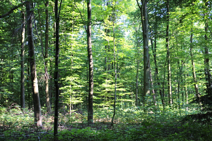 c0153740_2392498.jpg