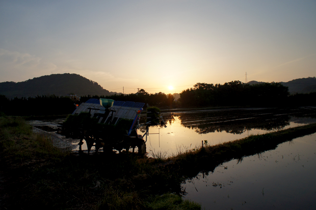 f0214649_12482563.jpg
