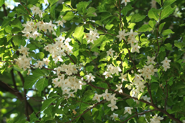 f0214649_1433179.jpg