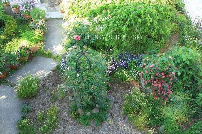c0145250_1045156.jpg