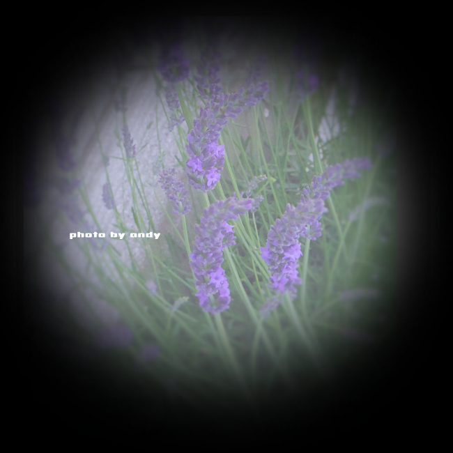 f0179061_216458.png
