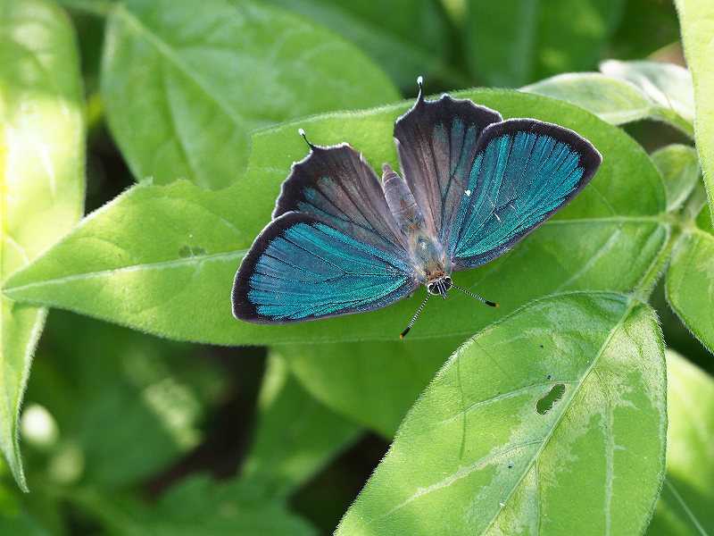 d0128465_11504091.jpg