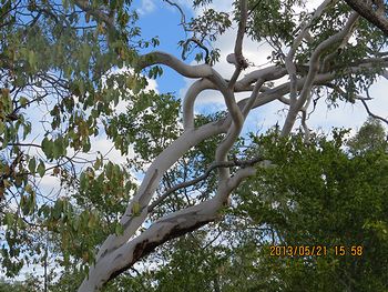 f0196665_8482815.jpg