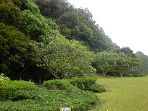 e0292172_20354980.jpg