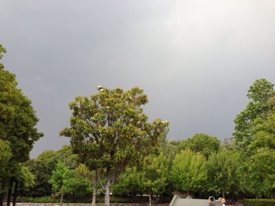 a0187575_2126588.jpg