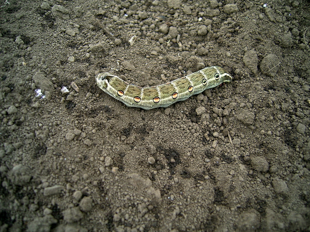 d0225575_1617555.jpg
