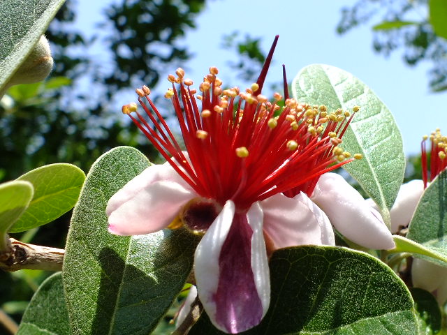 e0145782_20124470.jpg