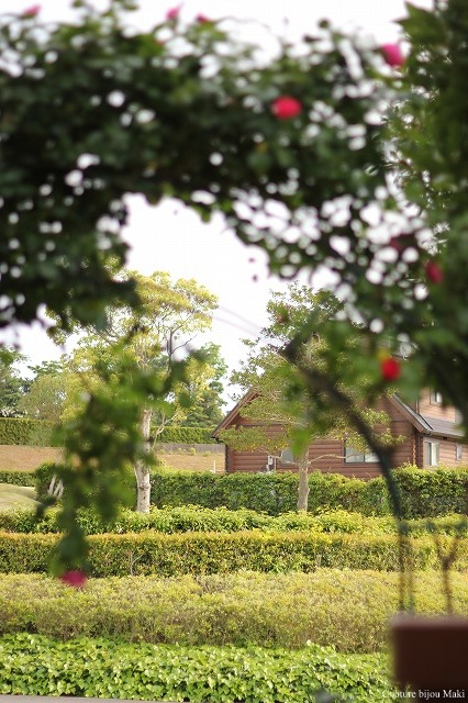 e0043686_1812613.jpg