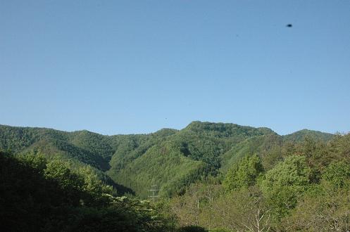c0123890_21285970.jpg
