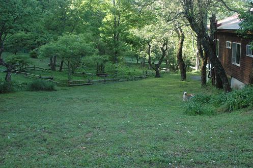 c0123890_21393861.jpg