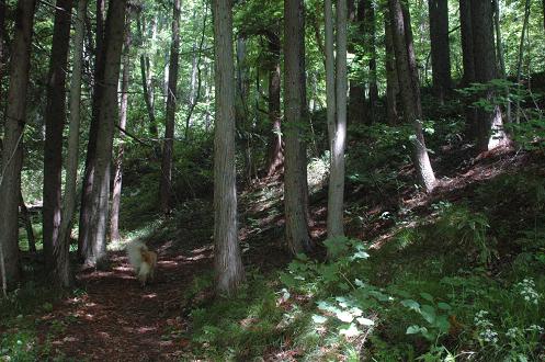 c0123890_21394460.jpg