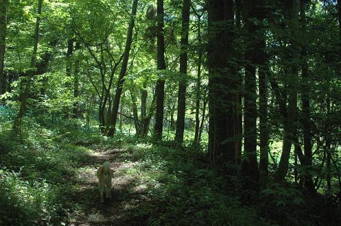 c0123890_21395149.jpg