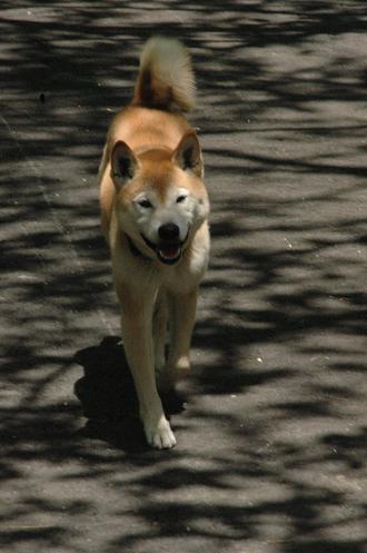 c0123890_2159693.jpg