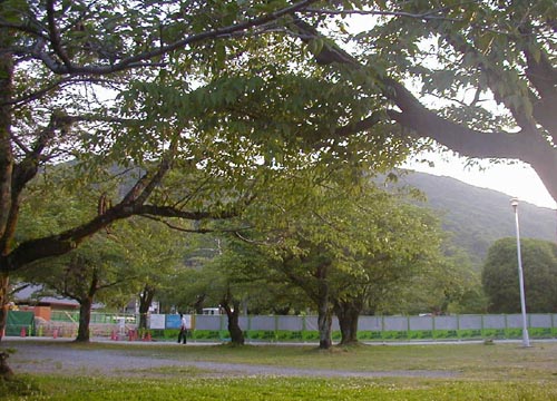 d0053294_033462.jpg