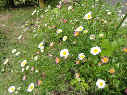 f0209394_0123546.jpg