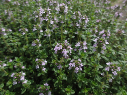f0209394_0165141.jpg