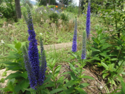 f0209394_022545.jpg