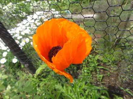 f0209394_0327100.jpg