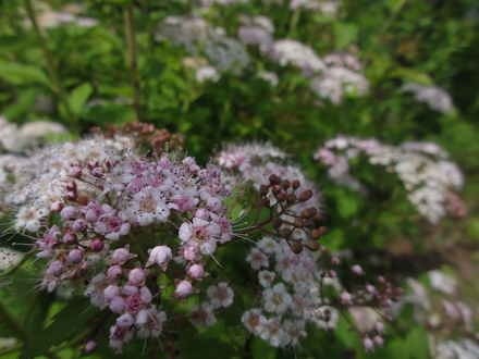 f0209394_043457.jpg