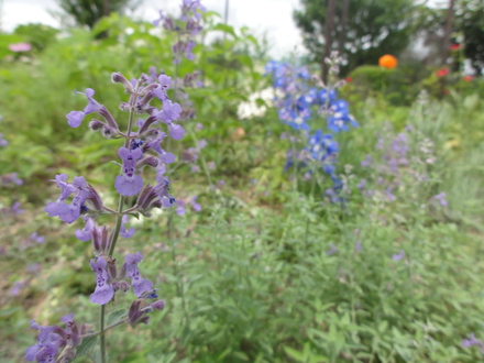 f0209394_09839.jpg