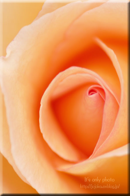 e0008800_23425570.jpg