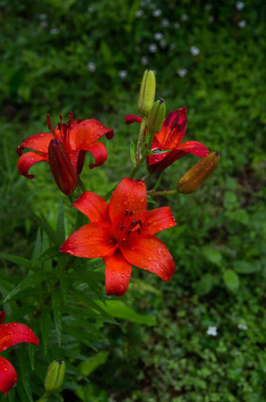 f0239100_9163516.jpg