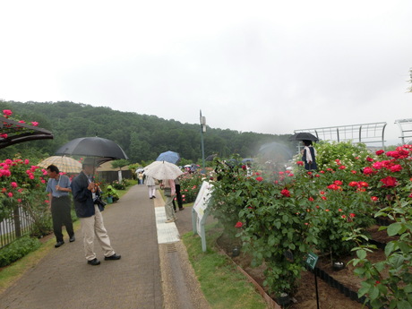 a0203003_1012518.jpg