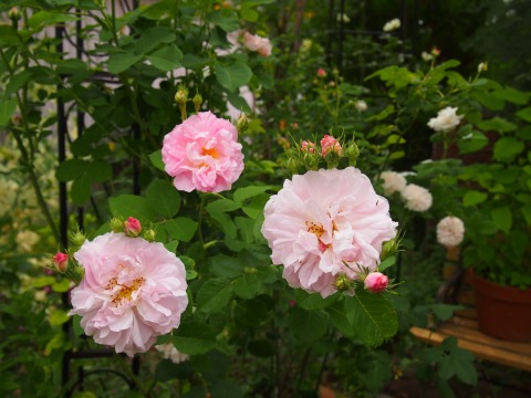 c0117007_22405327.jpg